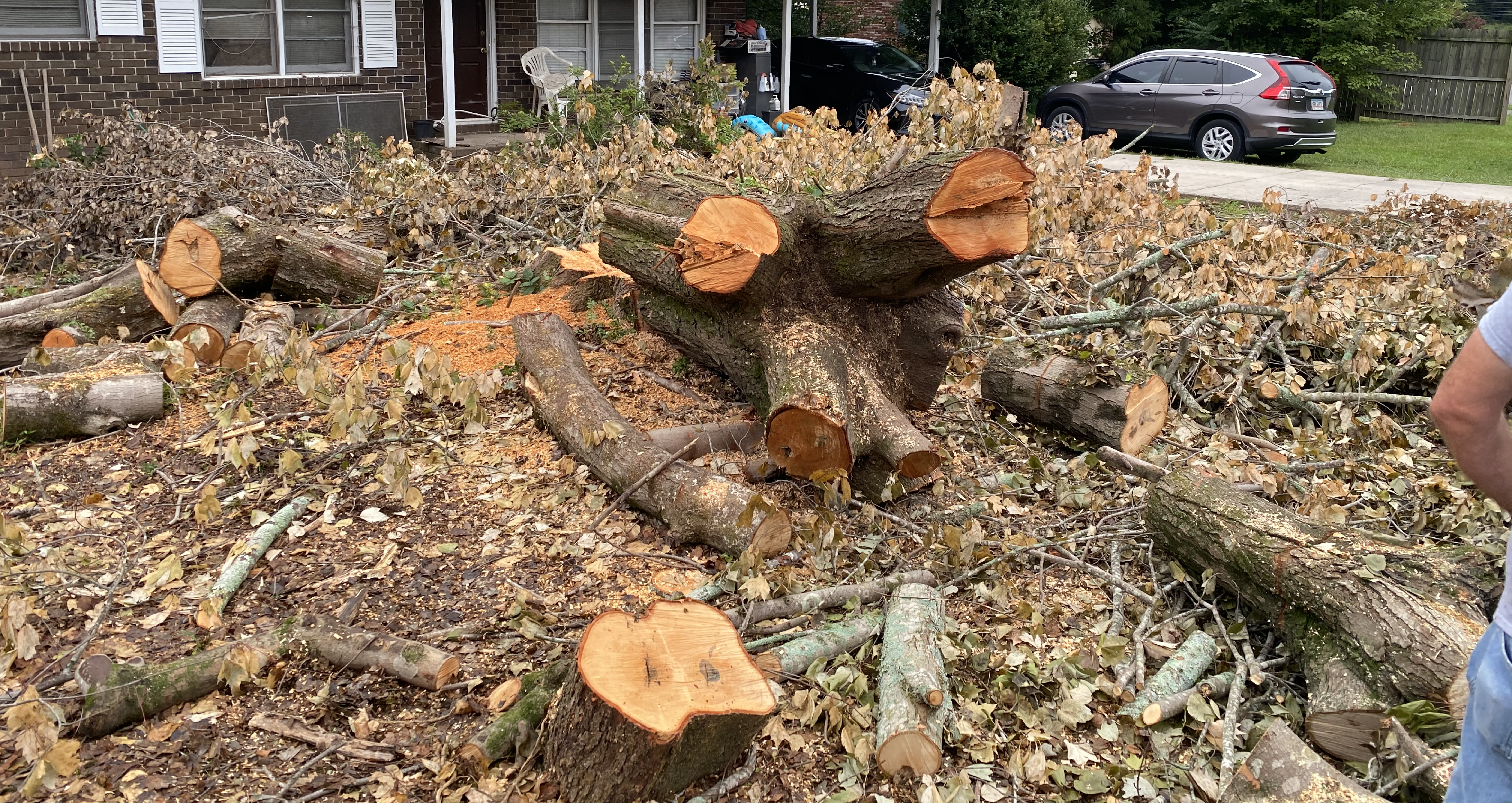 Yard littered with tree limbs and stumps left by subcontractor